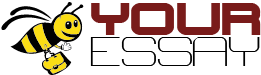Logo: Your Essay Site